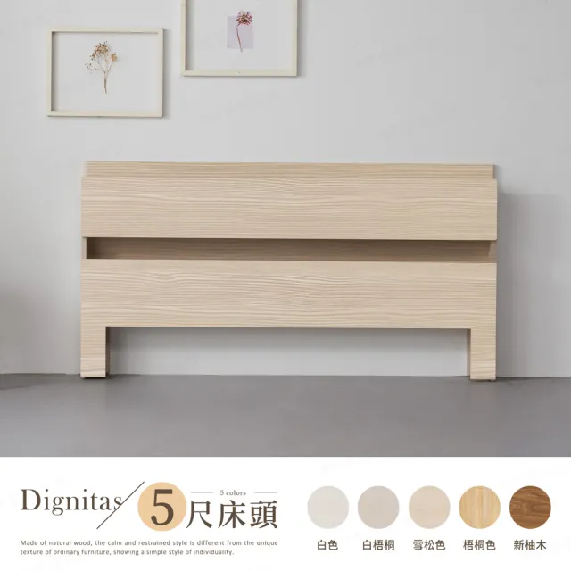 【H&D 東稻家居】DIGNITAS狄尼塔斯5尺插座雙人床頭片 MIT 台灣製(附燈 床頭箱 多色選)