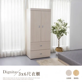 【H&D 東稻家居】DIGNITAS狄尼塔斯3X6尺二抽衣櫃(MIT 台灣製 衣櫃 衣櫥 免組裝)