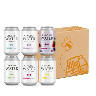 【CHUCHU啾啾】經典風味氣泡水330mlx2箱(共48入;口味任選 氣泡水 官方直營)