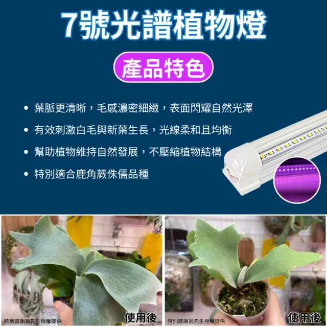 【JIUNPEY 君沛】2入組 7號光譜 T8 2呎 25W 一體式植物燈管(植物生長燈 鹿角蕨適用)