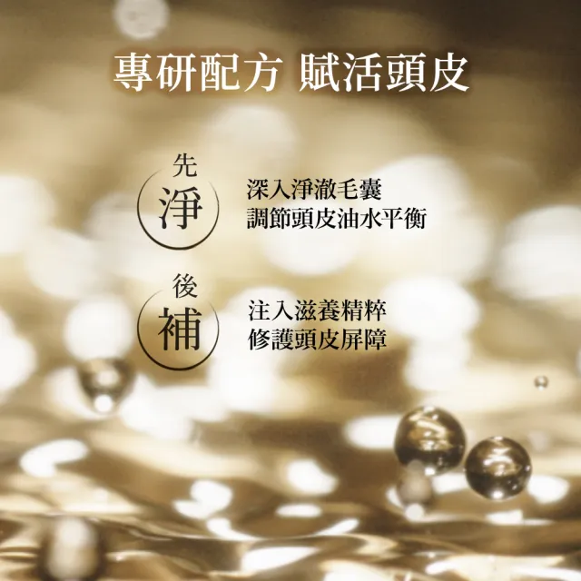 【Hair Recipe】舊品出清! 生薑蘋果/生薑清茶 洗髮精/潤髮乳530g 5入(強韌x防斷)