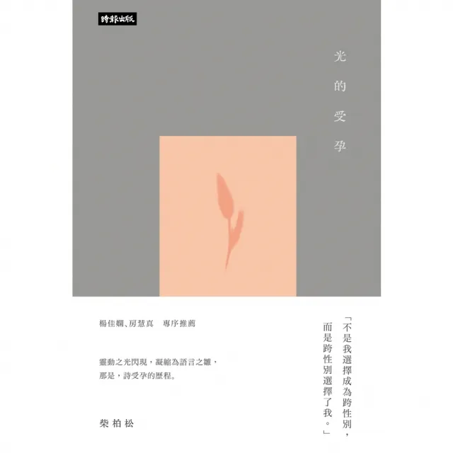 【momoBOOK】光的受孕(電子書)