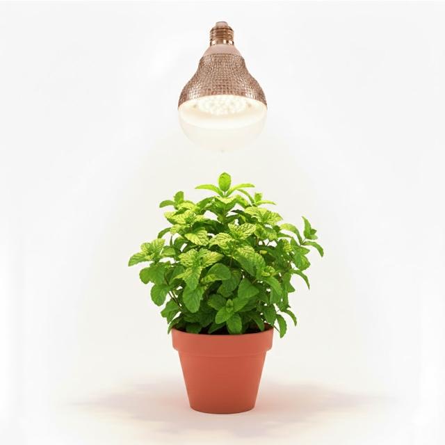 【JIUNPEY 君沛】15W 紫外線UV全光譜 E27植物燈泡(植物生長燈)