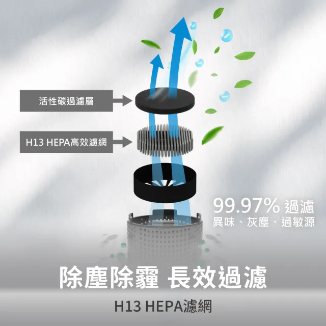 【HYD】抗敏HEPA負離子空氣清淨機D-23(殺菌/車用/活性碳/除臭/PM2.5)
