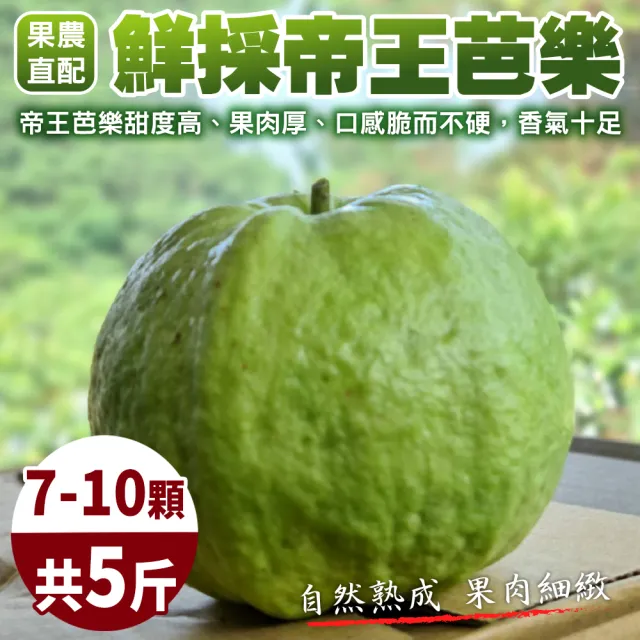 【WANG 蔬果】台灣嚴選帝王芭樂約7-10顆(5斤/箱)