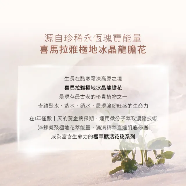 【Estee Lauder 雅詩蘭黛】白金級極萃賦活花秘凝露200ml(明亮柔嫩滋養肌膚)