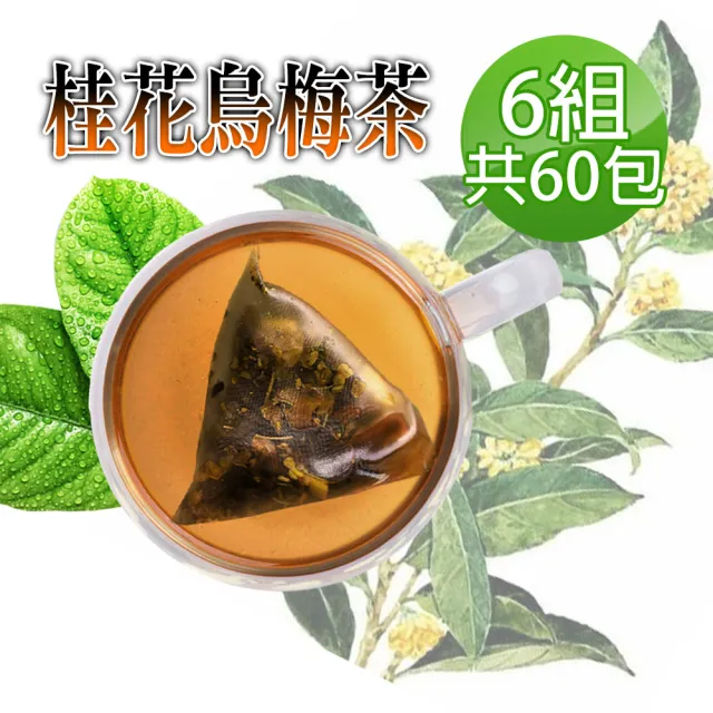 【蔘大王】桂花烏梅美顏茶包X6組(6gX10入/組)(長效期版 解渴美妍茶包 冷泡熱泡 油切解膩 輕盈靈活)