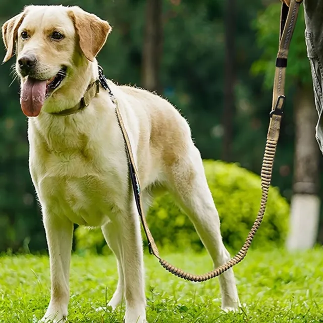 防暴衝反光戰術寵物牽繩(遛狗 狗繩 中大型犬 外出用品 狗鍊 牽引繩 戶外 反光條)