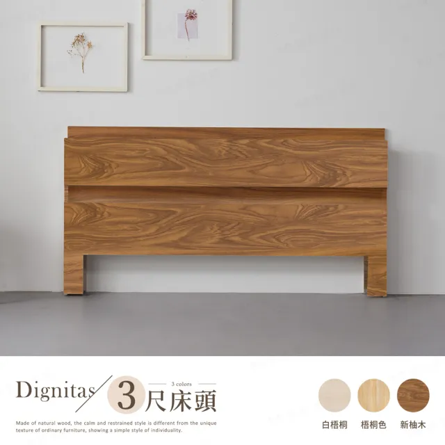 【H&D 東稻家居】DIGNITAS狄尼塔斯3尺插座單人床頭片 MIT 台灣製(附燈 床頭 床頭片 多色選)