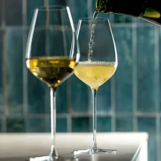【Lehmann】法國Hommage 致敬系列通用杯 450ml-1入(紅酒杯 白酒杯 香檳杯 通用杯)