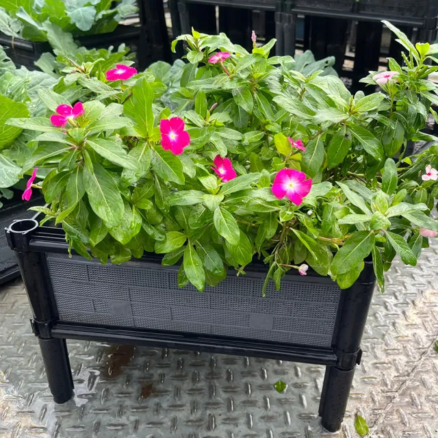 【田園樂】育材單層架高一節種植箱(45*30*32cm)(組合式種植箱種菜箱/籃耕離地栽培/2入一組)