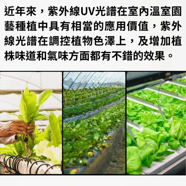 【JIUNPEY 君沛】3入組 T8 4呎 25W紫外線UV全光譜植物燈管(植物生長燈)