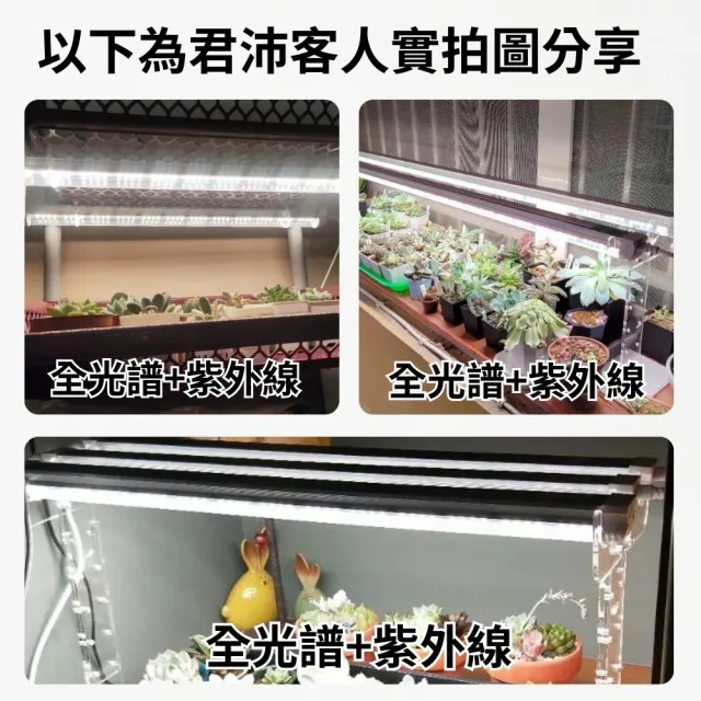【JIUNPEY 君沛】3入組 T8 4呎 25W紫外線UV全光譜植物燈管(植物生長燈)