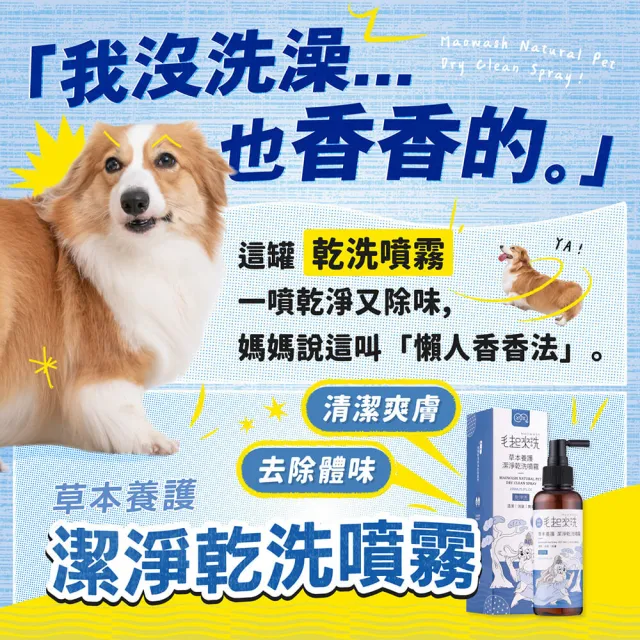 【MAOUP 毛起來】草本養護 潔淨乾洗噴霧 155ml (免沖洗 快速清除髒汙 成分溫和 舔食無礙)