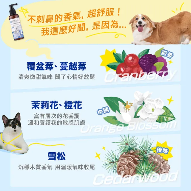 【MAOUP 毛起來】草本養護 潔淨乾洗噴霧 155ml (免沖洗 快速清除髒汙 成分溫和 舔食無礙)