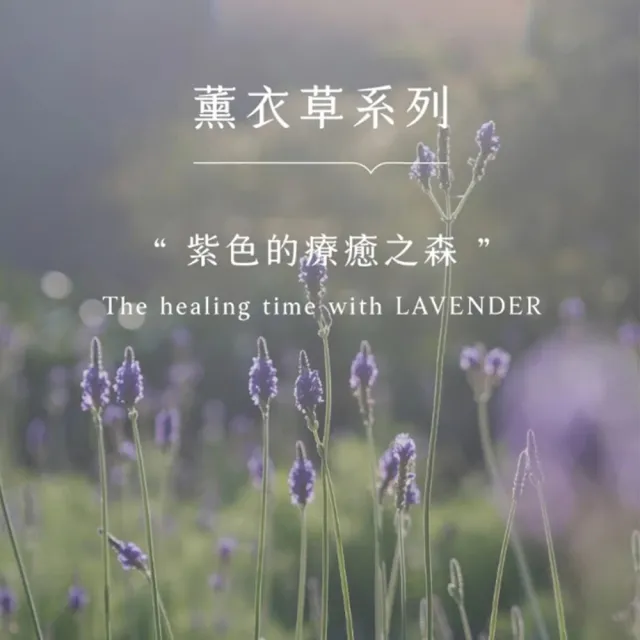 【LAVENDER FOREST 薰衣草森林】薰衣草 / 沐光森林 身體乳 任選2入 | 身體乳液 乳液 潤膚乳 Body Lotion