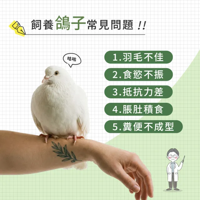 【WeWant 威旺】鴿子用益生菌+益生元-腸胃2菌配方(鴿子益生菌/鳥類益生菌/鴿子保健)