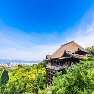 【喜鴻假期】★經典漫遊關西５日★古都清水寺、嵐山渡月橋、伏見稻荷、錦市場、無自理餐、黑毛和牛