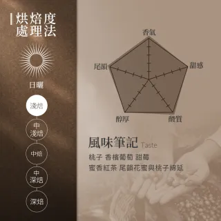 【JC咖啡】巴拿馬 翡翠莊園 綠標私藏精選Canas Verdes 藝妓日曬 咖啡豆1包│淺焙(半磅;230g;新鮮烘焙)