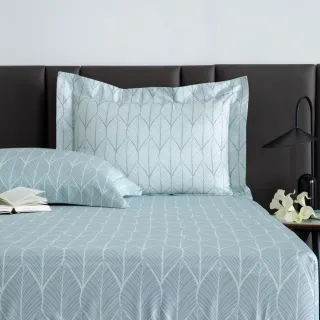 【WEDGWOOD】經典印花 床包枕套三件組(雙人｜天絲/長纖棉 任選)