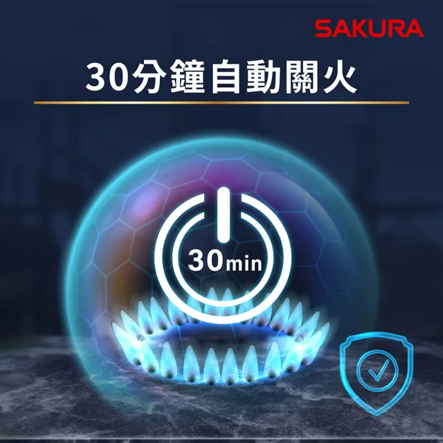 【SAKURA 櫻花】二口小面板易清檯面爐G2527G(原廠安裝-官方直營)