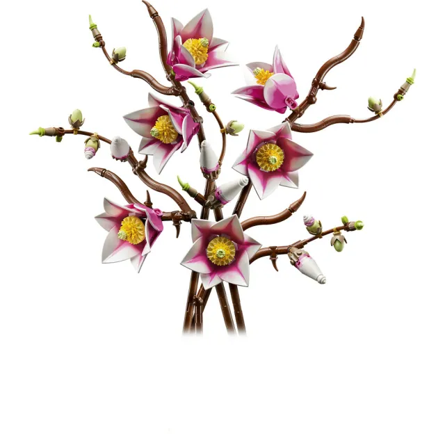 【LEGO 樂高】Botanicals 11510 木蘭枝(居家擺設 花束禮物 玩具 積木 禮物)