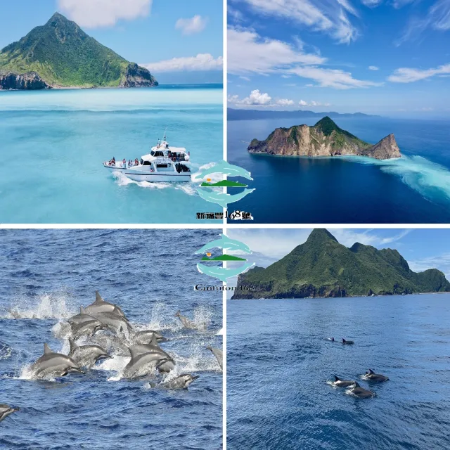宜蘭新福豐168賞鯨旅遊|賞鯨+繞龜山島(附導覽解說)