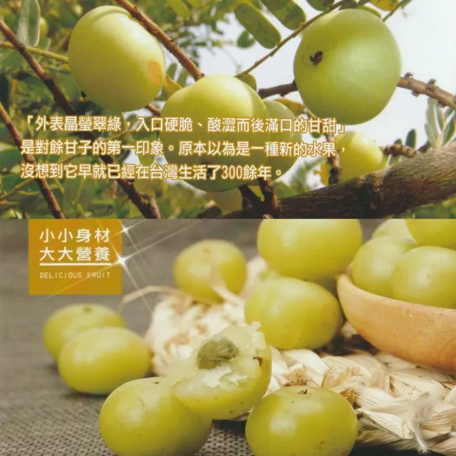 【亦峯】油甘聖果精華膠囊(500mgx60/瓶)