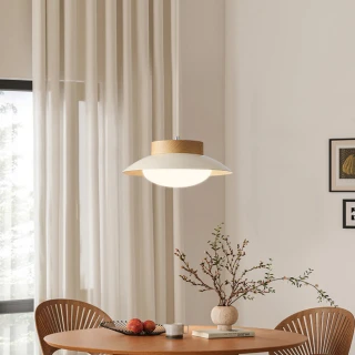 【H&R 安室家】吉莉吊燈ZA0273
