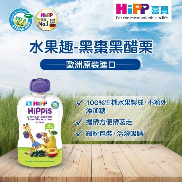 【HiPP】喜寶生機水果趣 100gx16入(黑棗黑醋栗/水蜜桃野莓/蘋果草莓/西洋梨/蘋果/香蕉/芒果/奇異果 任選)