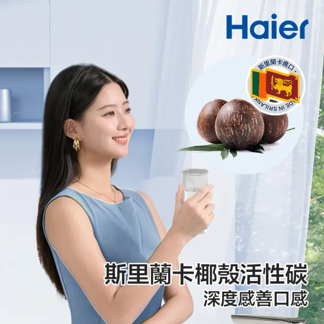 【Haier 海爾】RO四段溫控瞬熱淨水器 三年份替換濾芯(PCB*3+RO*1)