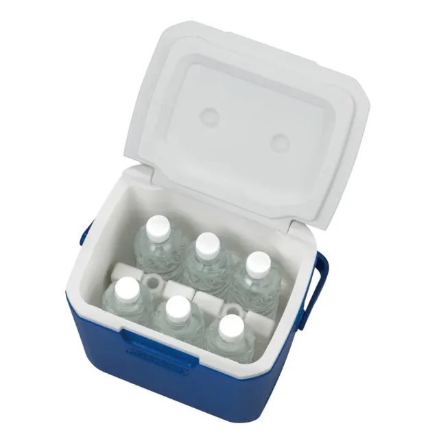 【Coleman】TAKE 9冰箱(露營冰桶 行動冰桶 保冷箱 保冰桶 手提冰桶)