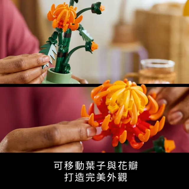【LEGO 樂高】Botanicals 10368 菊花(花藝植栽 居家擺設 送禮推薦 玩具禮物)