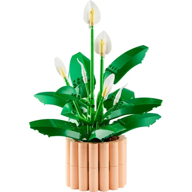 【LEGO 樂高】Botanicals 11504 白鶴芋(花藝 居家擺設 積木 玩具)