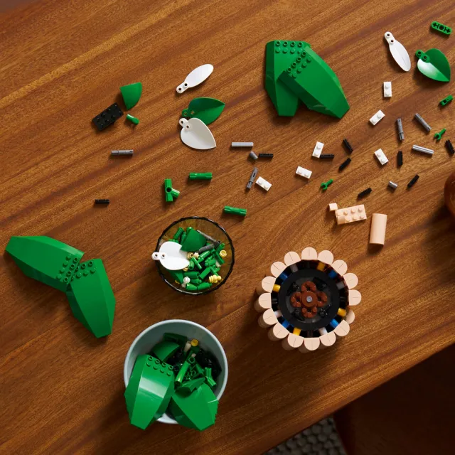 【LEGO 樂高】Botanicals 11504 白鶴芋(花藝 居家擺設 積木 玩具)