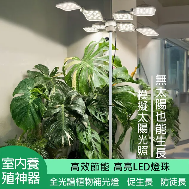 【LADUTA 拉布塔】植物生長燈 全光譜仿太陽光 80W 落地款