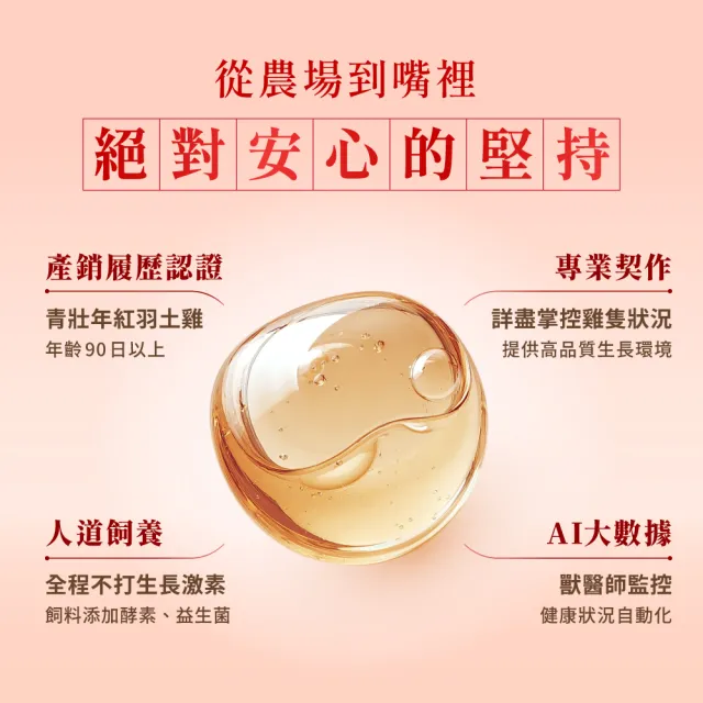 【芳茲】日月養生滴雞精禮盒 9包/盒 贈精美提袋_官方直營/常溫