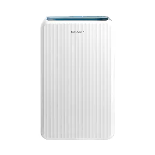【SHARP 夏普】6公升 高效除濕機(DW-WL6NT-W)