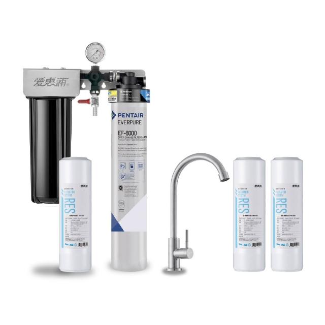 【EVERPURE 愛惠浦】櫥下型 PURVIVE Duo-EF6000大流量不鏽鋼龍頭兩道式生飲淨水器(前置樹脂)