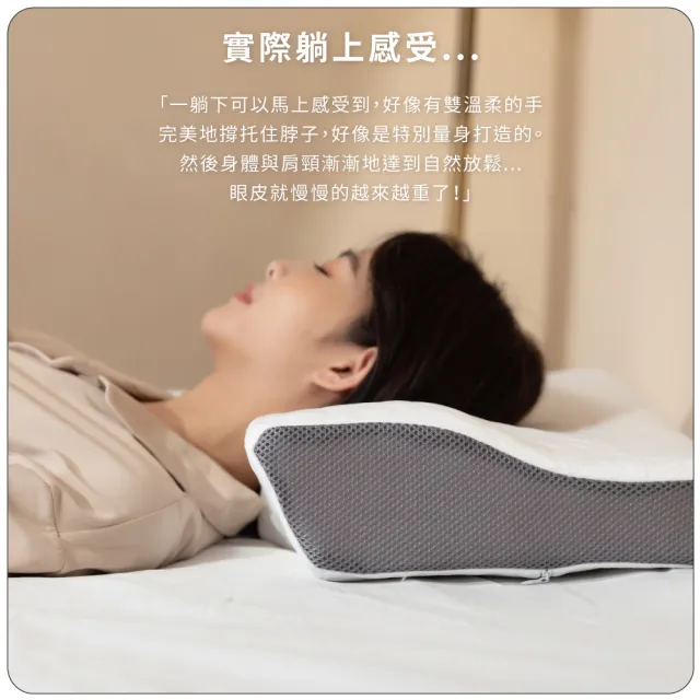 【飛航模飾】航向好眠枕頭 記憶枕(抗菌包覆款) 氧化鋅蝶型4D記憶枕頭