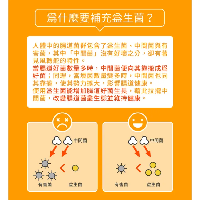 【韓國鍾根堂】LACTO-FIT GOLD 益生菌粉末食品 大童與成人款120入