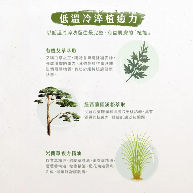 【阿原】岩蘭草 抗菌 洗手慕斯 430mL(植癒力.艾草.修護敏弱.抗菌防護.沉穩舒心)