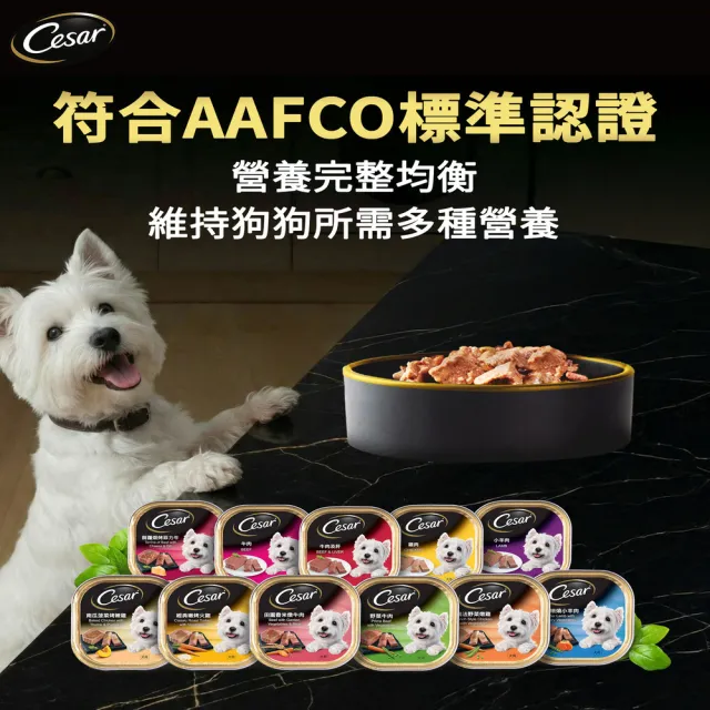 【Cesar 西莎】經典風味餐盒 100g*6入*4口味(任選) 寵物/狗罐頭/狗食