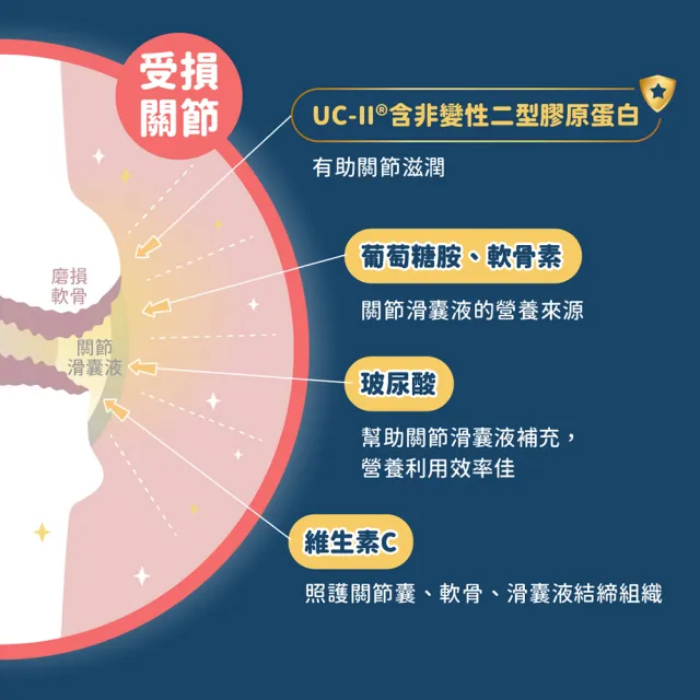 【汪喵星球】汪喵UCII關節保養粉（MSM加強配方）120顆(犬貓保健)