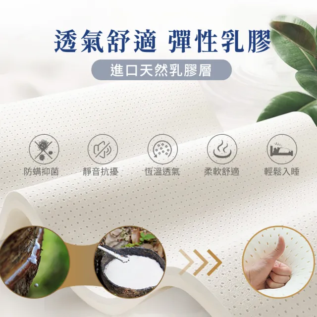 【LooCa】捲包床 雙人加大 石墨烯乳膠五段式獨立筒床墊 6x6.2尺x28cm(送保潔墊)