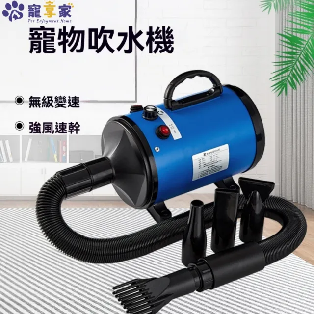 | BALIMAN情報局 【2026】寵物吹水機推薦|10款高評價人氣品牌排行榜 | BALIMAN情報局