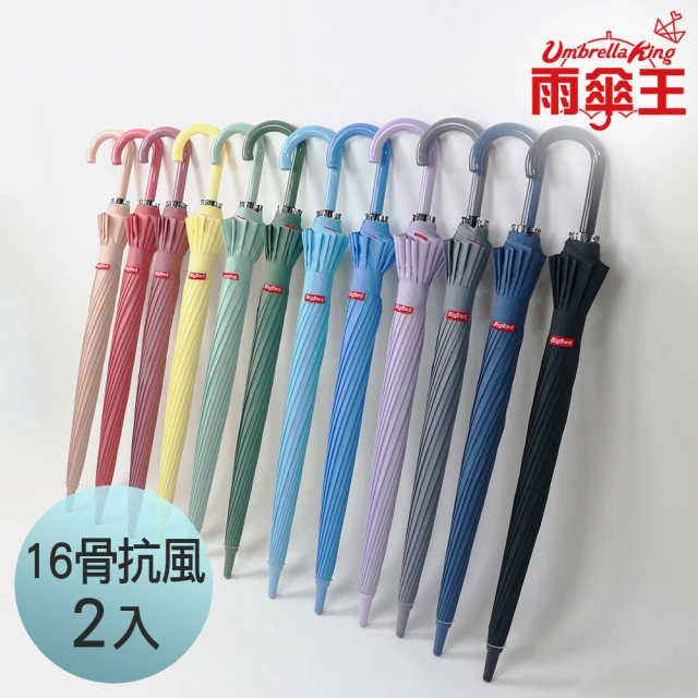 雨傘王