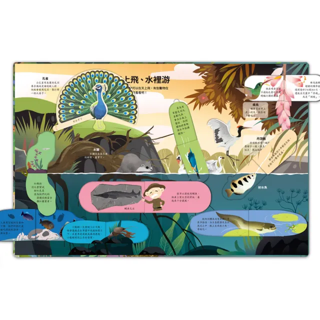 【風車圖書】神奇的動物百科立體翻翻書 立體書