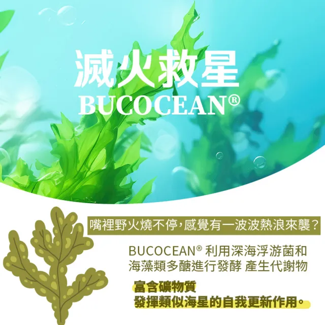 【古寶無患子】3入組 漢學百里香精油牙齦護理牙膏-禦齒秘方100G(漢方健齒/清新消臭/好口氣/牙齦健康)