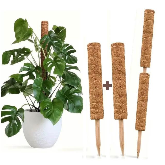 沐森 Green Life 可串接2入組椰棕棒 植物支架/椰纖攀爬柱